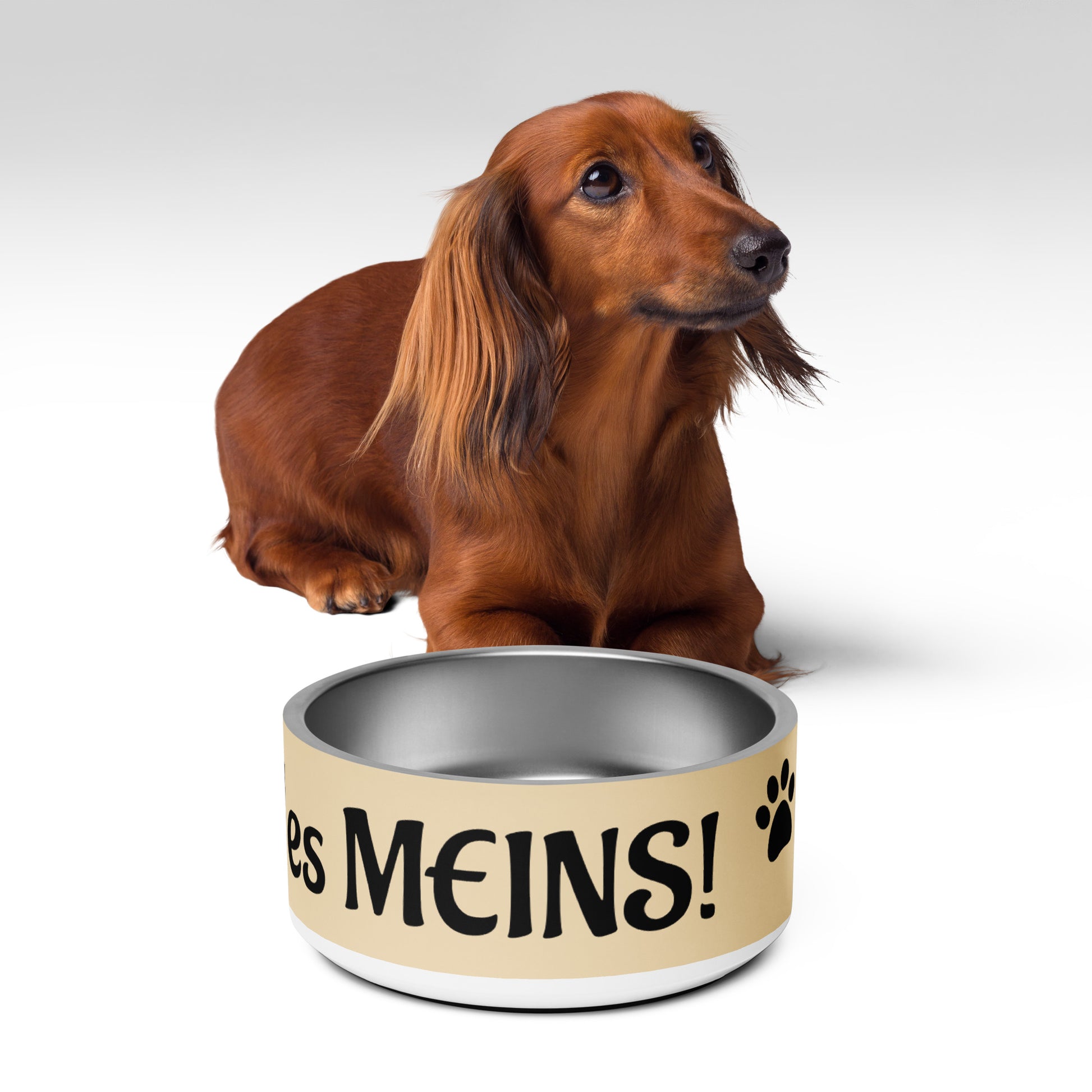 Beige Golden Retriever Futternapf aus Edelstahl mit „Alles meins“-Aufdruck