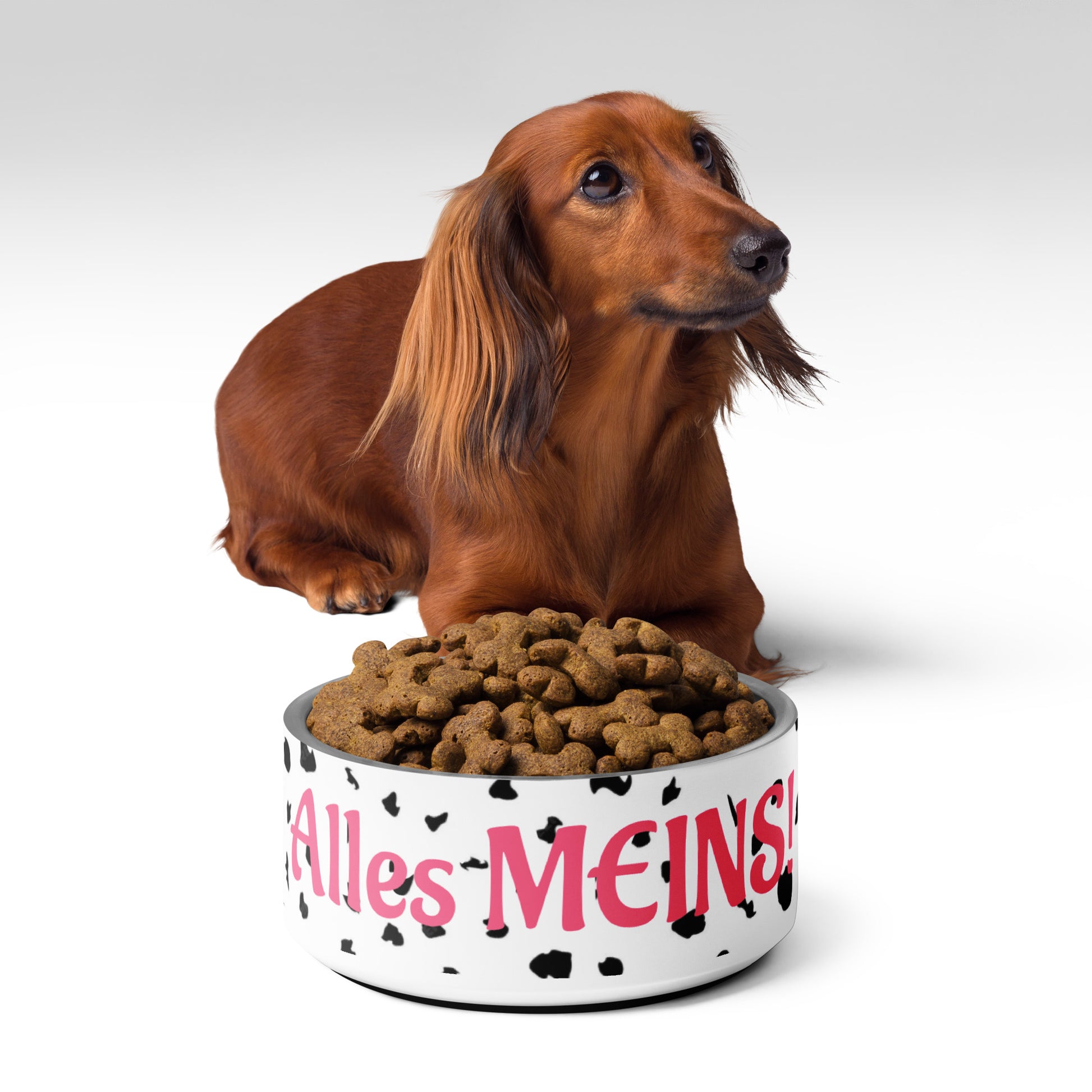 Dalmatiner Dame Futternapf aus Edelstahl mit Pink „Alles meins“-Aufdruck