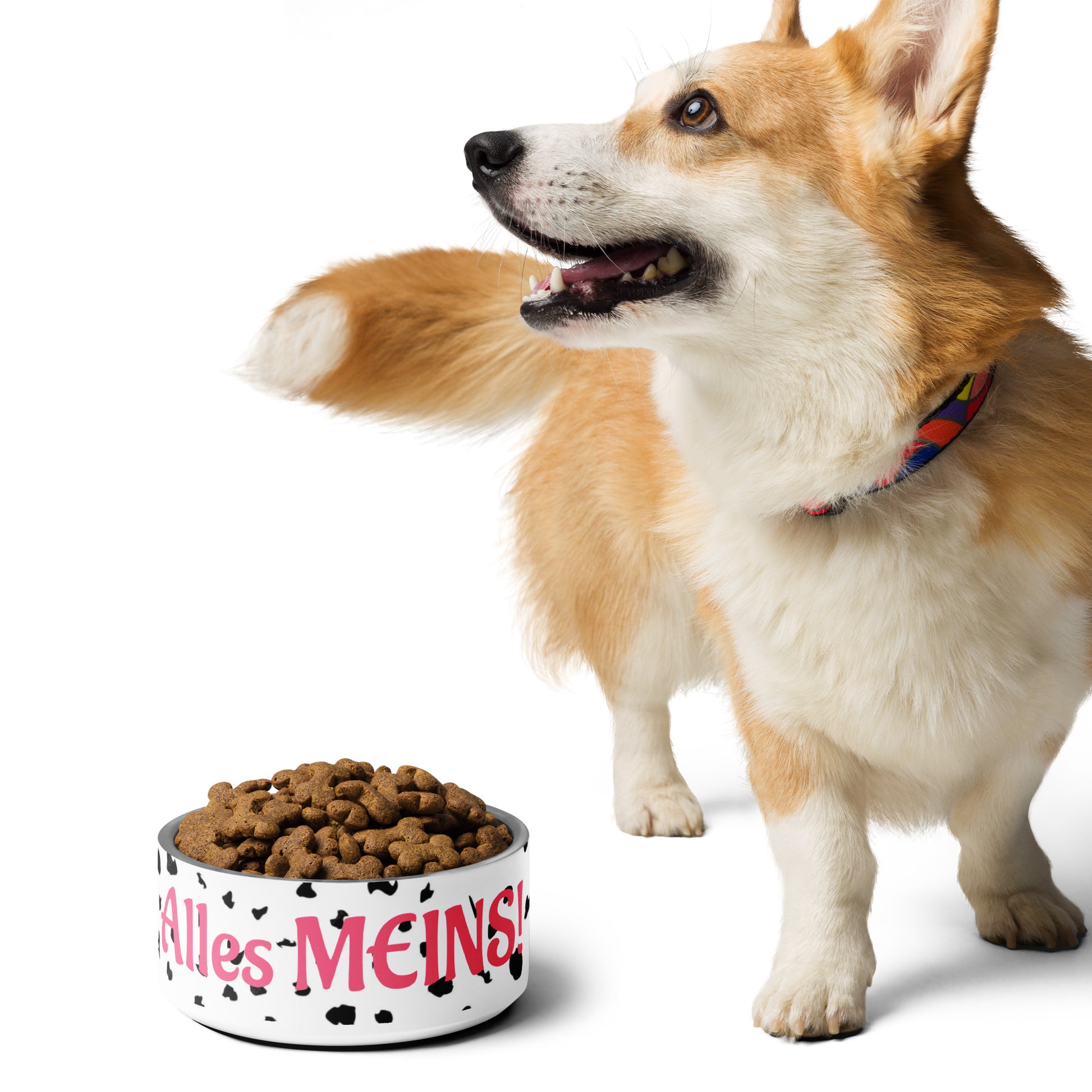Dalmatiner Dame Futternapf aus Edelstahl mit Pink „Alles meins“-Aufdruck