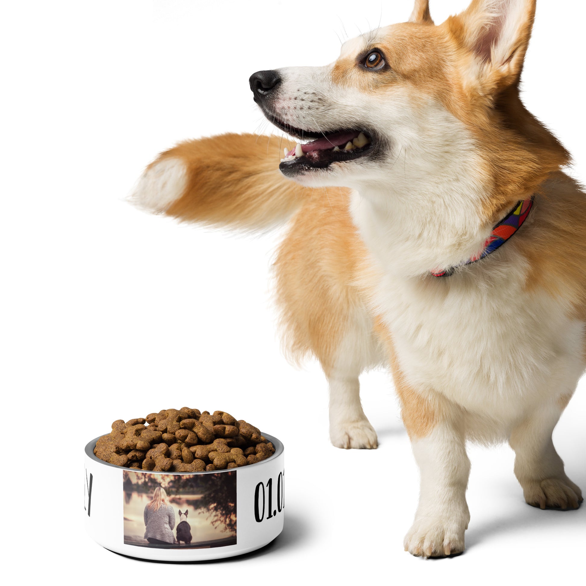 Rutschfester Futternapf aus Edelstahl mit Gummiboden