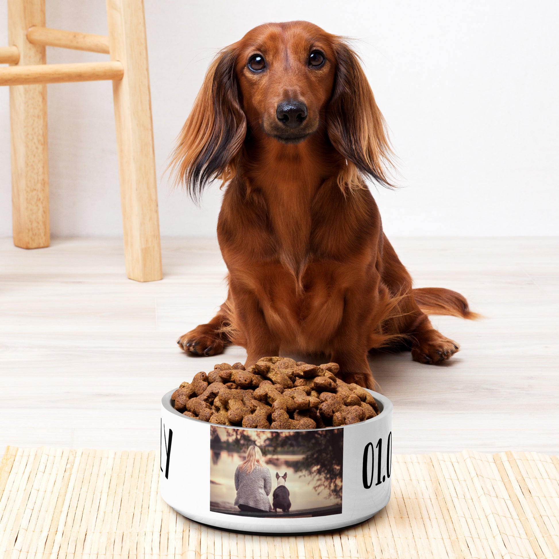 Personalisierter Hundenapf aus Edelstahl mit Foto und Namen